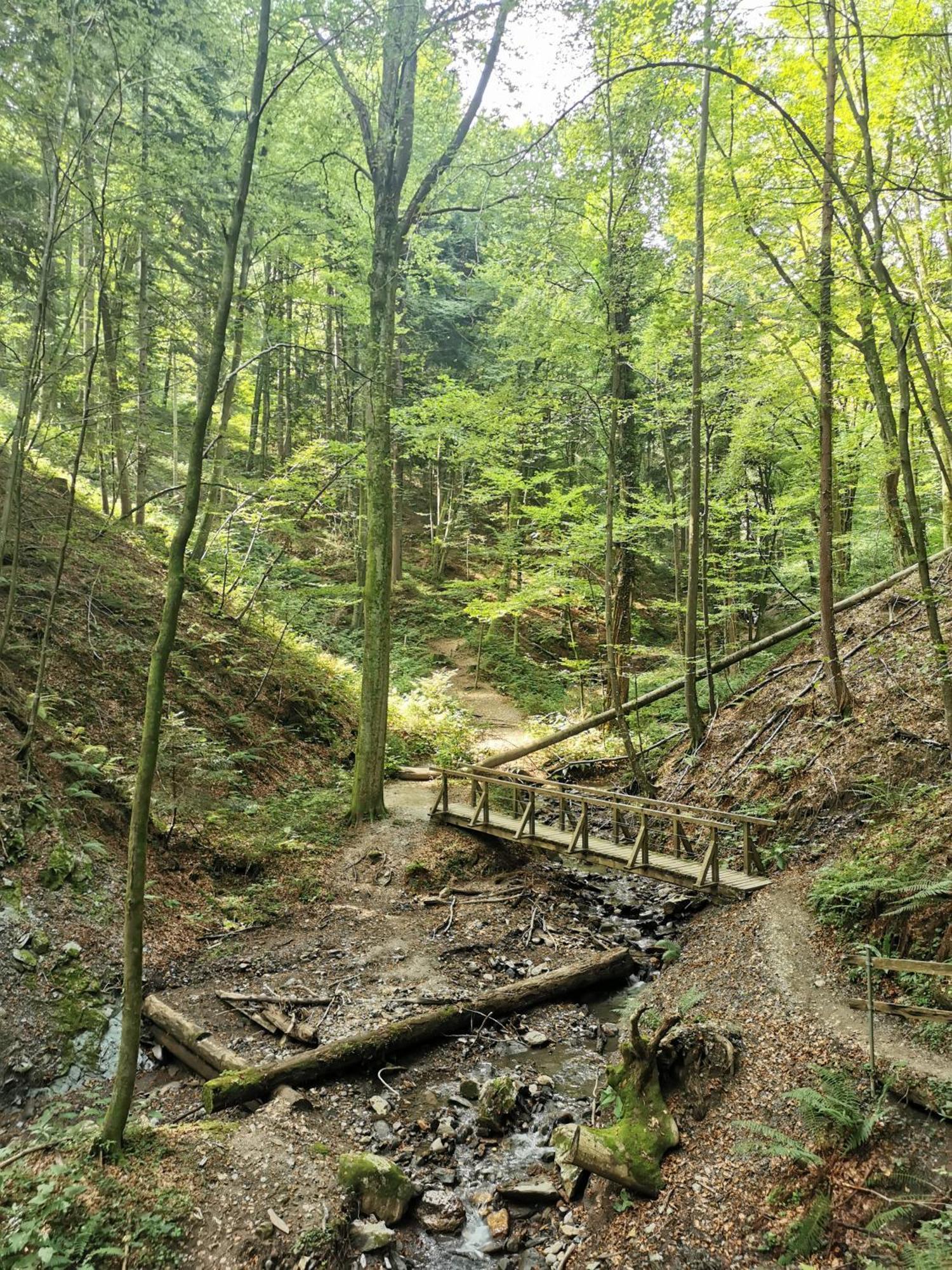 Traumhaftes Ferienhaus Am Lateinberg - 8455 Eibiswald Suedsteiermark 外观 照片