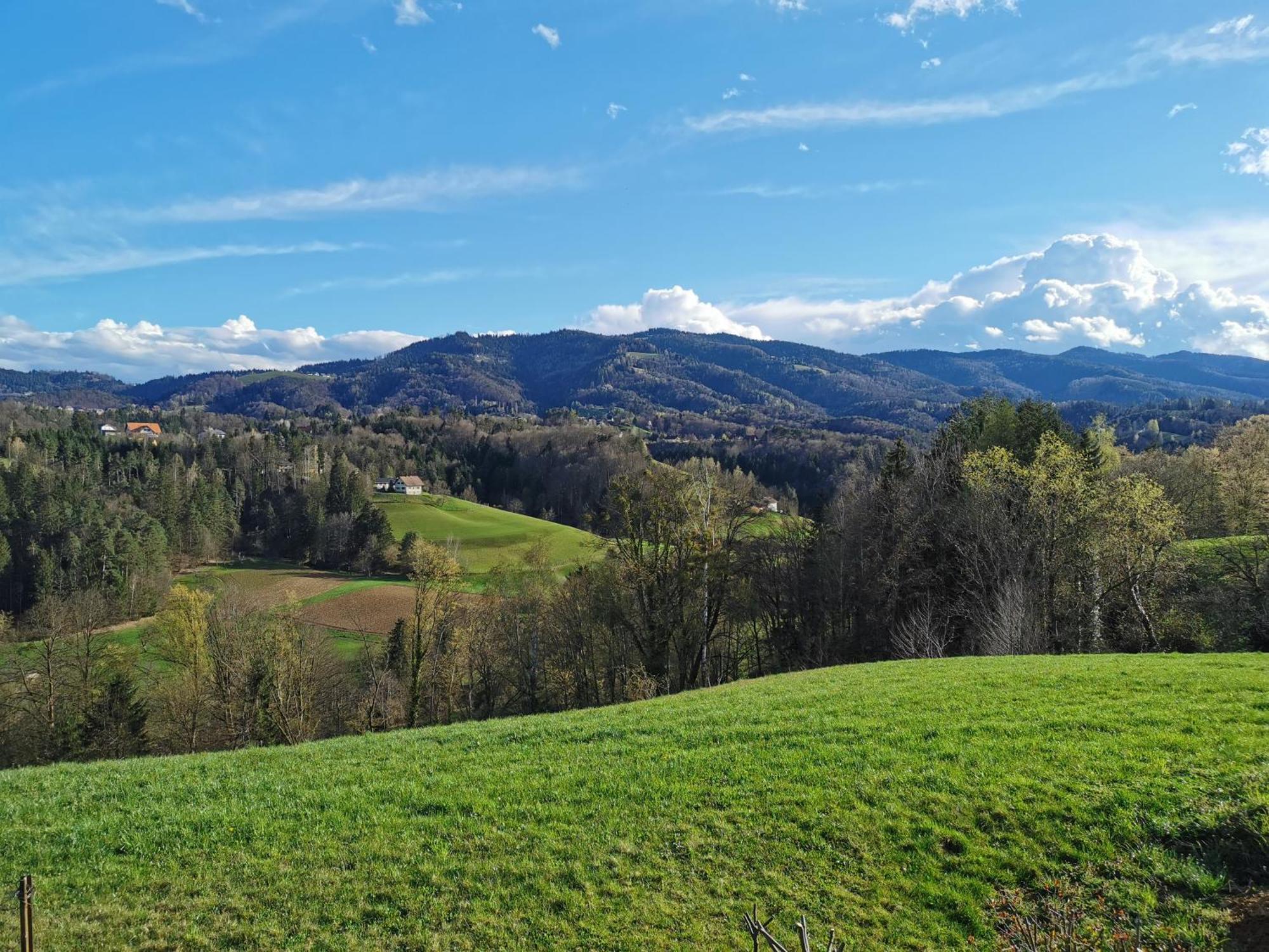 Traumhaftes Ferienhaus Am Lateinberg - 8455 Eibiswald Suedsteiermark 外观 照片